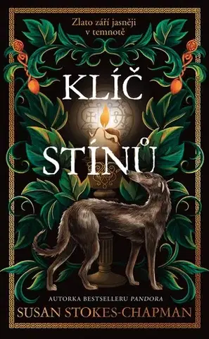 Romantická beletria Klíč stínů - Susan Stokes-Chapman