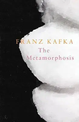 Svetová beletria The Metamorphosis (Legend Classics) - Franz Kafka