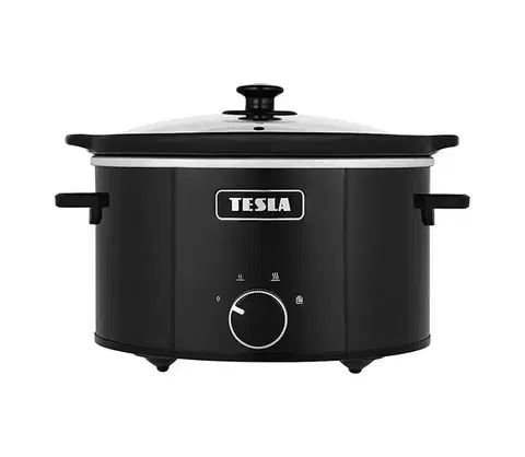 Elektrické hrnce TESLA SlowCook S350