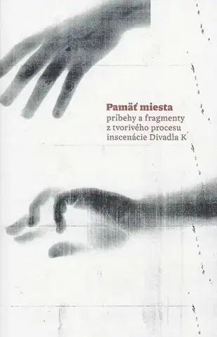 Dejiny, teória umenia Pamäť miesta - Mária Piatriková,Stanislav Piatrik