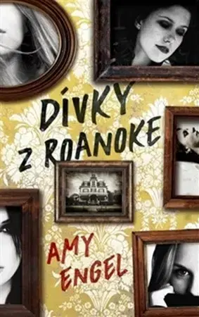Detektívky, trilery, horory Dívky z Roanoke - Amy Engel