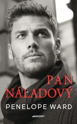 Romantická beletria Pan Náladový - Penelope Ward