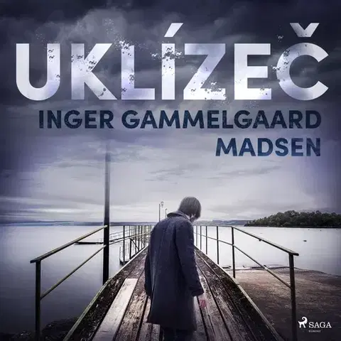 Detektívky, trilery, horory Saga Egmont Uklízeč
