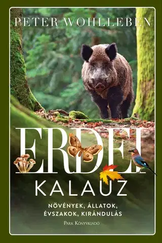 Biológia, fauna a flóra Erdei kalauz - Peter Wohlleben