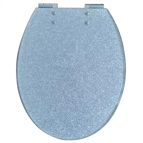 WC dosky WC doska Silver Glitter