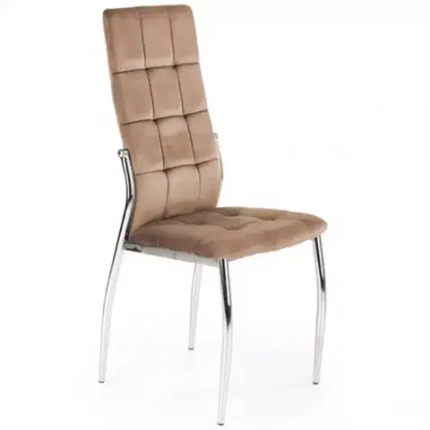 Čalúnené stoličky Stolička W153 béžová