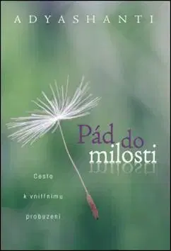 Duchovný rozvoj Pád do milosti - Adyashanti