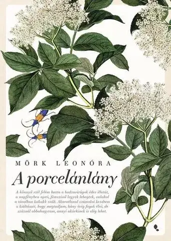 Svetová beletria A porcelánlány - új kiadás - Leonóra Mörk