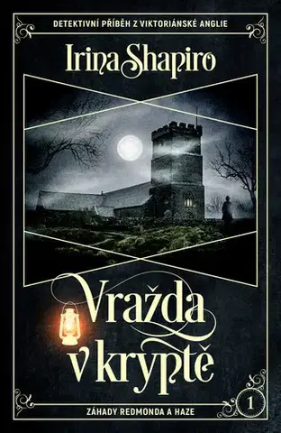 Detektívky, trilery, horory Vražda v kryptě - Irina Shapiro