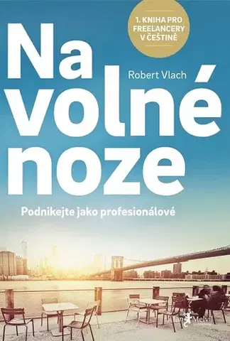 Manažment Na volné noze - Robert Vlach