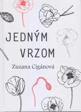 Slovenská beletria Jedným vrzom - Zuzana Cigánová
