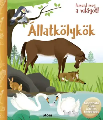 Leporelá, krabičky, puzzle knihy Ismerd meg a világot! - Állatkölykök