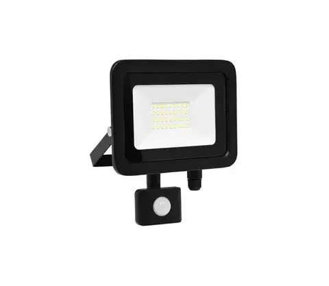 Záhradné lampy  RLED48WL-30W/PIR - LED Reflektor STAR so senzorom LED/30W/230V IP44 RLED48WL-30W/PIR