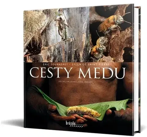 Hmyz Cesty medu - Éric Tourneret,Sylla de Saint Pierre