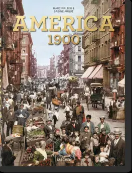Cudzojazyčná literatúra American Odyssey, America 1900 - Marc Walter,Sabine Arque