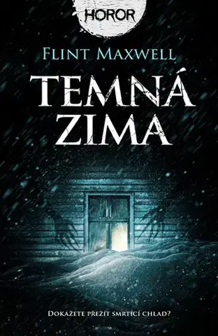 Romantická beletria Temná zima - Flint Maxwell