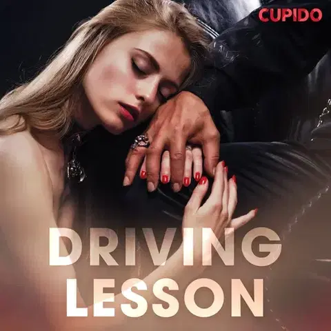 Erotická beletria Saga Egmont Driving Lesson (EN)