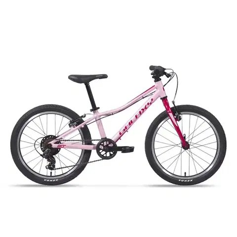 Bicykle Galaxy Cetis 20"  2025 ružová - 10" (113-135 cm)
