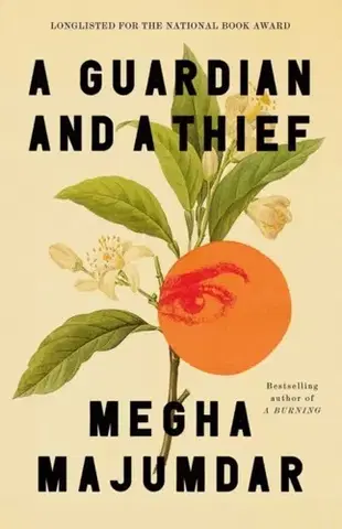 Beletria A Guardian and a Thief - Megha Majumdar