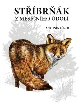 Svetová beletria Stříbrňák z Měsíčního údolí - Antonín Ešner