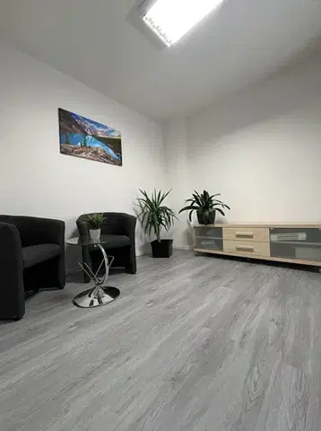 Green line CANADIAN DESIGN Green line Dub sivý 8594187731175