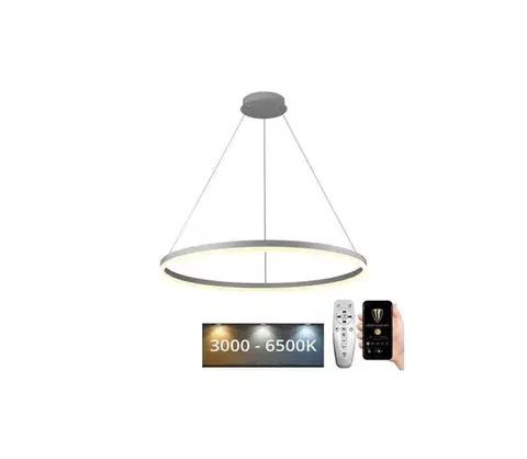 Svietidlá  LED Stmievateľný luster na lanku LED/55W/230V 3000-6500K + diaľkové ovládanie J4309/S