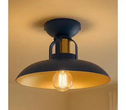 Svietidlá BRILAGI - LED Prisadený luster FLAMENGO 1xE27/60W/230V modrá BG72373