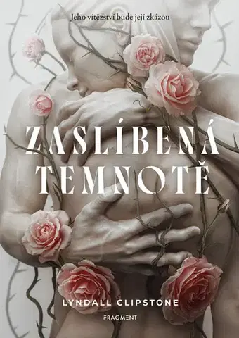 Young adults Zaslíbená temnotě - Lyndall Clipstone