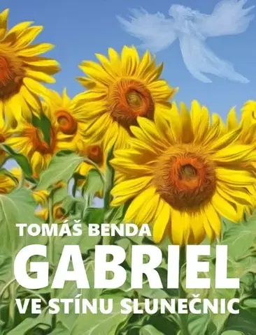 Romantická beletria Gabriel - Tomáš Benda