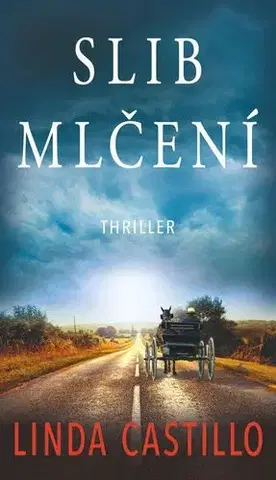 Detektívky, trilery, horory Slib mlčení - Linda Castillo