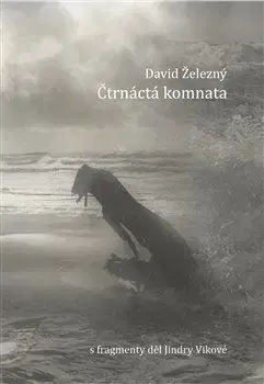 Česká poézia Čtrnáctá komnata - David Železný