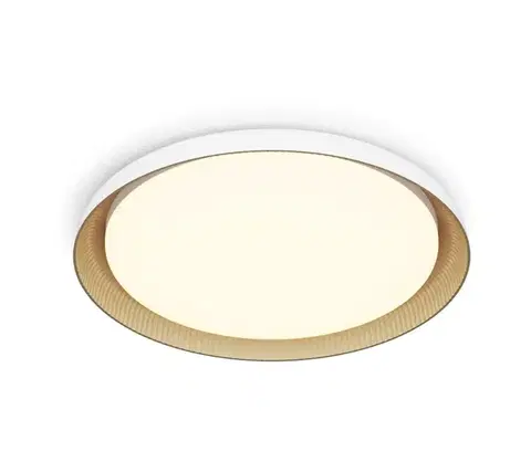 Svietidlá Philips - LED Stmievateľné stropné svietidlo PEBBLO LED/10W/230V 2700K biela 8720169301054