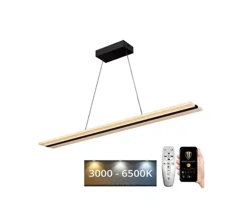 Svietidlá  LED Stmievateľný luster na lanku LED/40W/230V 3000-6500K čierna + diaľkové ovládanie J4304/B