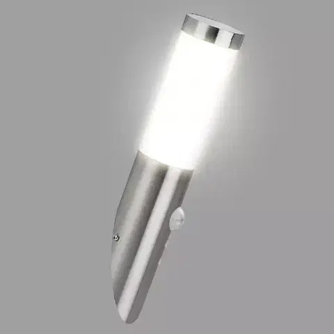 Vonkajšie moderné svietidlá Nástenná záhradná lampa INOX 8263 LP451