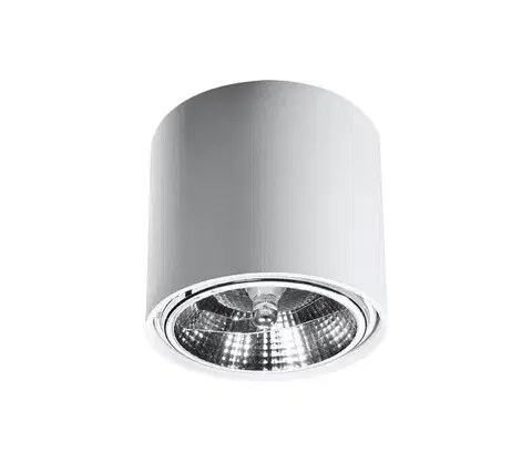 Svietidlá  SL.0695 - Bodové svietidlo TIUBE1xGU10-AR111/10W/230V SL.0695