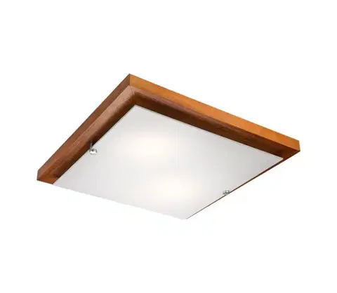 Svietidlá  Stropné svietidlo 2xE27/60W/230V LD PD 7.2