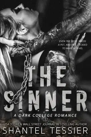Detektívky, trilery, horory The Sinner - Tessier Shantel