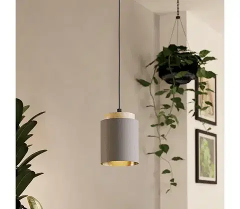 Svietidlá Eglo 99445 - Luster na lanku ALBARIZA 1xE27/40W/230V 99445