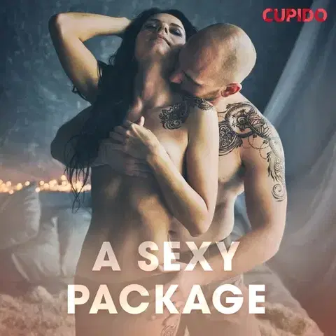 Erotická beletria Saga Egmont A Sexy Package (EN)