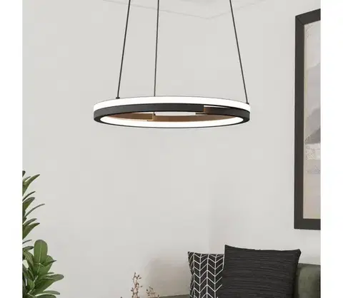 Svietidlá Eglo 901822 - stmievateľný LED luster na lankách MEZZOMONTE 2xLED/20W/230V čierny + diaľkové ovládanie 901822