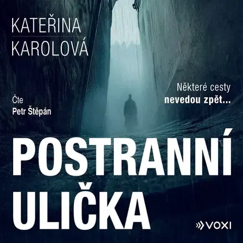 Detektívky, trilery, horory Voxi Postranní ulička
