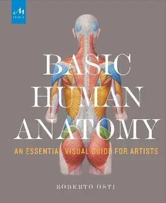 Maliarstvo, grafika Basic Human Anatomy - Roberto Osti