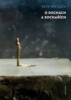 Sochárstvo, plastika O sochách a sochařích - Petr Wittlich