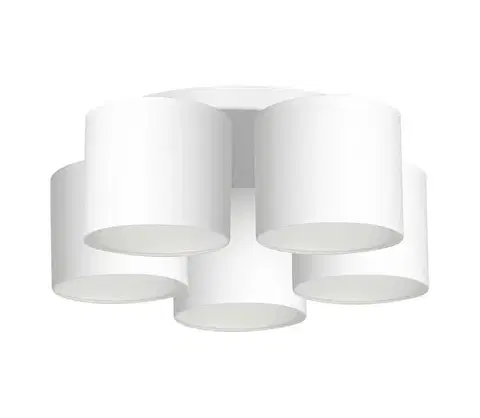 Svietidlá  Luster prisadený ARDEN 5xE27/60W/230V biela 3425
