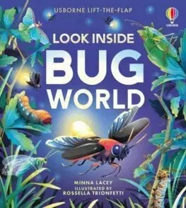 Leporelá, krabičky, puzzle knihy Look Inside Bug World - Minna Lacey,Rossella Trionfetti