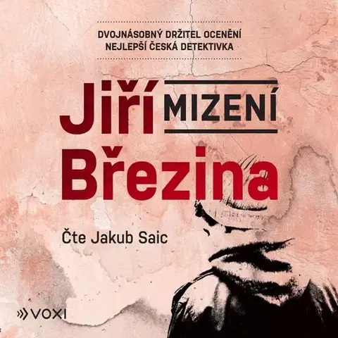 Detektívky, trilery, horory Voxi Mizení
