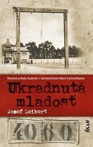 Romantická beletria Ukradnutá mladosť - Jozef Leikert
