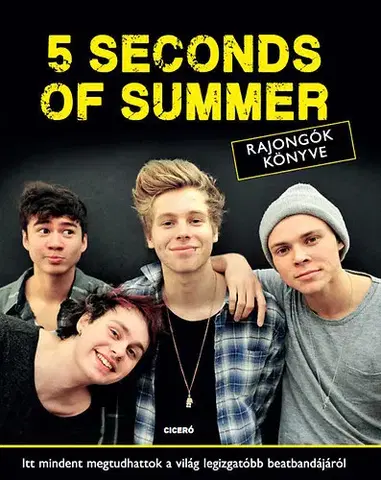 Film, hudba 5 Seconds of Summer rajongók könyve - Malcolm Croft