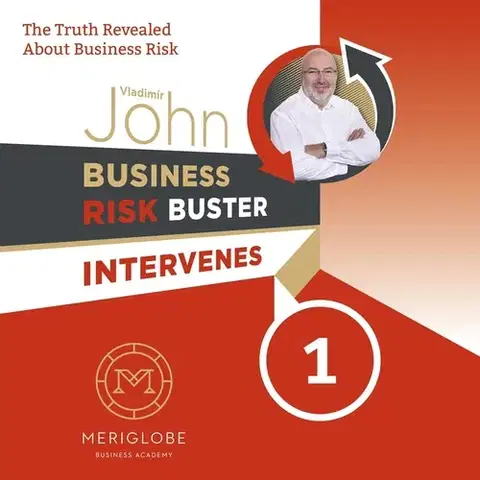 Jazykové učebnice - ostatné Meriglobe Advisory House Business Risk Buster Intervenes 1