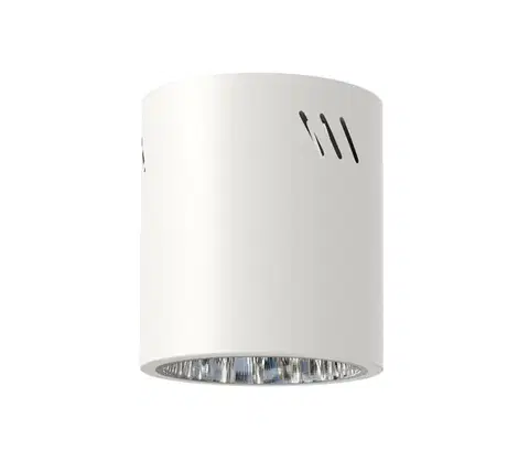 Svietidlá  Bodové svietidlo GEORGE 1xE27/60W/230V pr. 13,7 cm biela ML0481